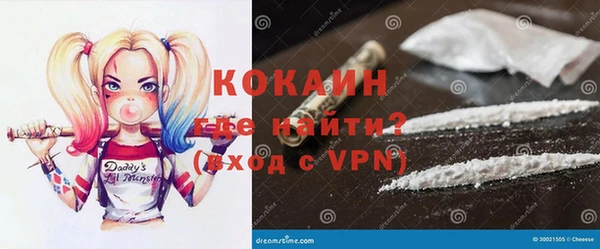 индика Абинск
